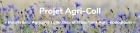 Capture.PNG