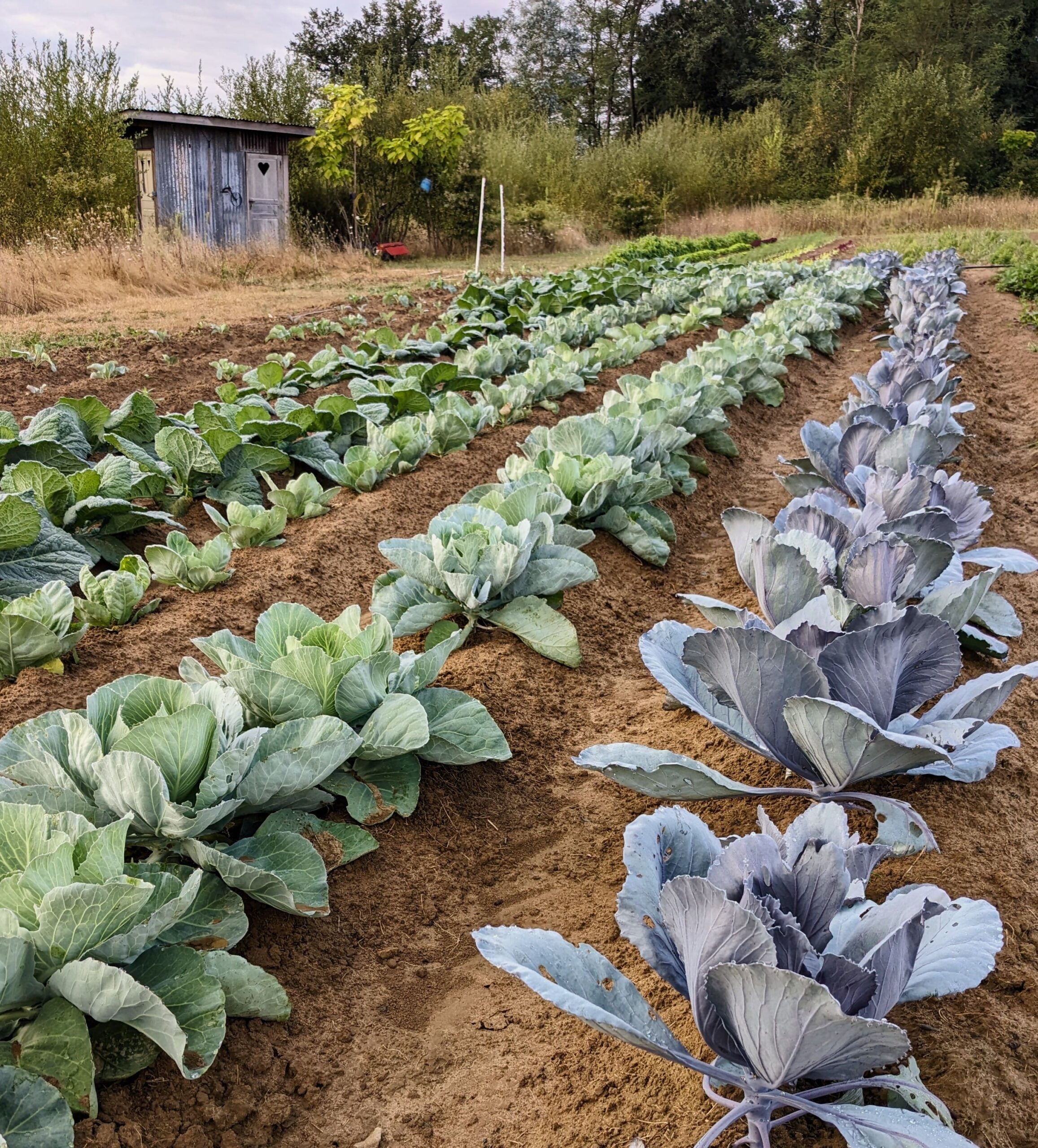 Réunion d’information agricole en présentiel