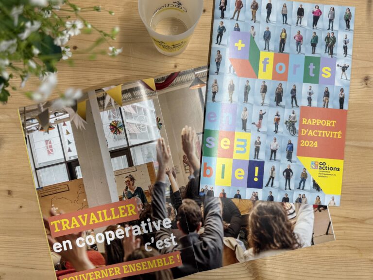 Lire la suite à propos de l’article Retour sur l’année 2024 avec le rapport d’activité de Co-actions !